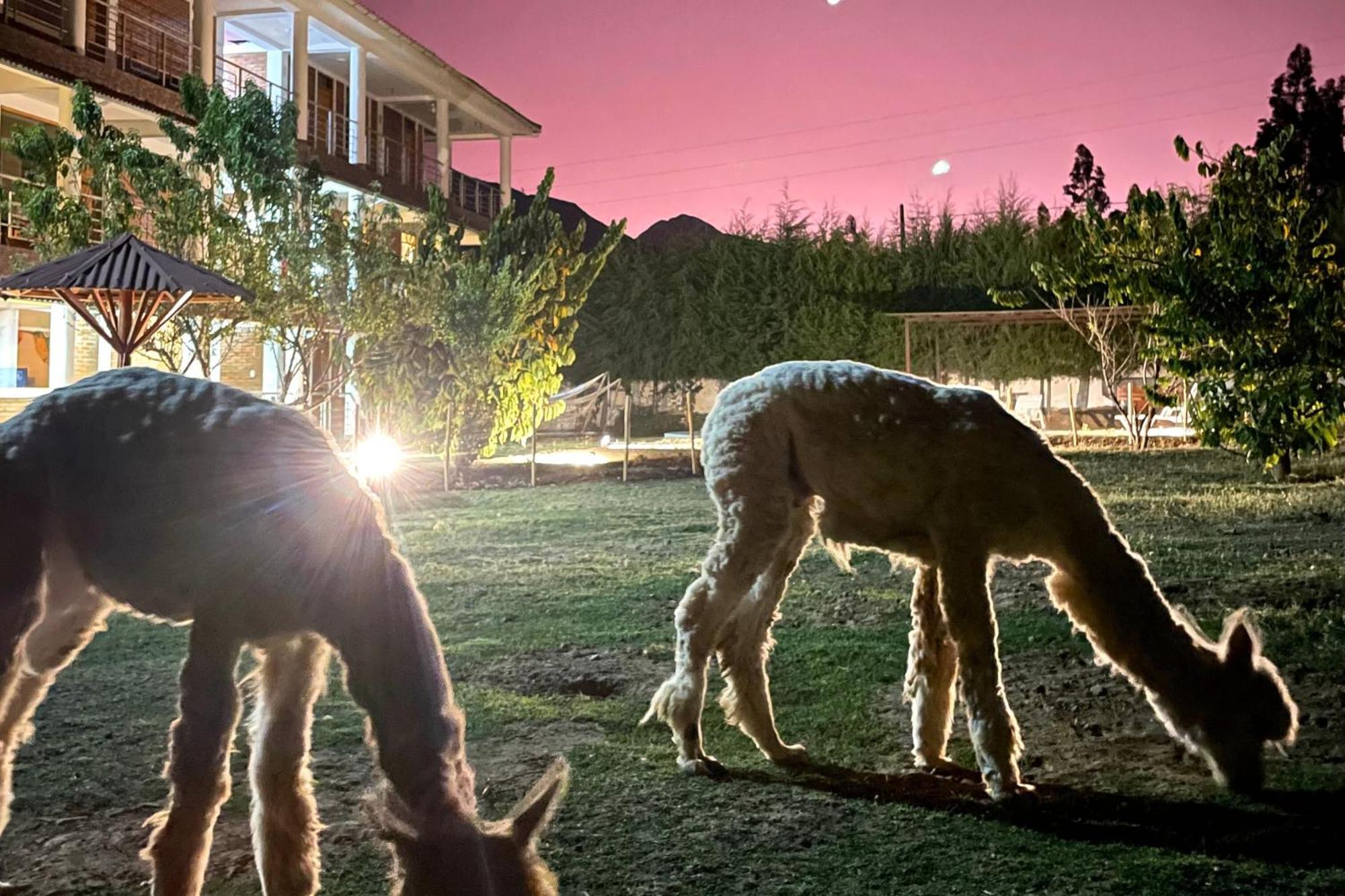 Runaway Eco Hotel Carhuaz Luaran gambar