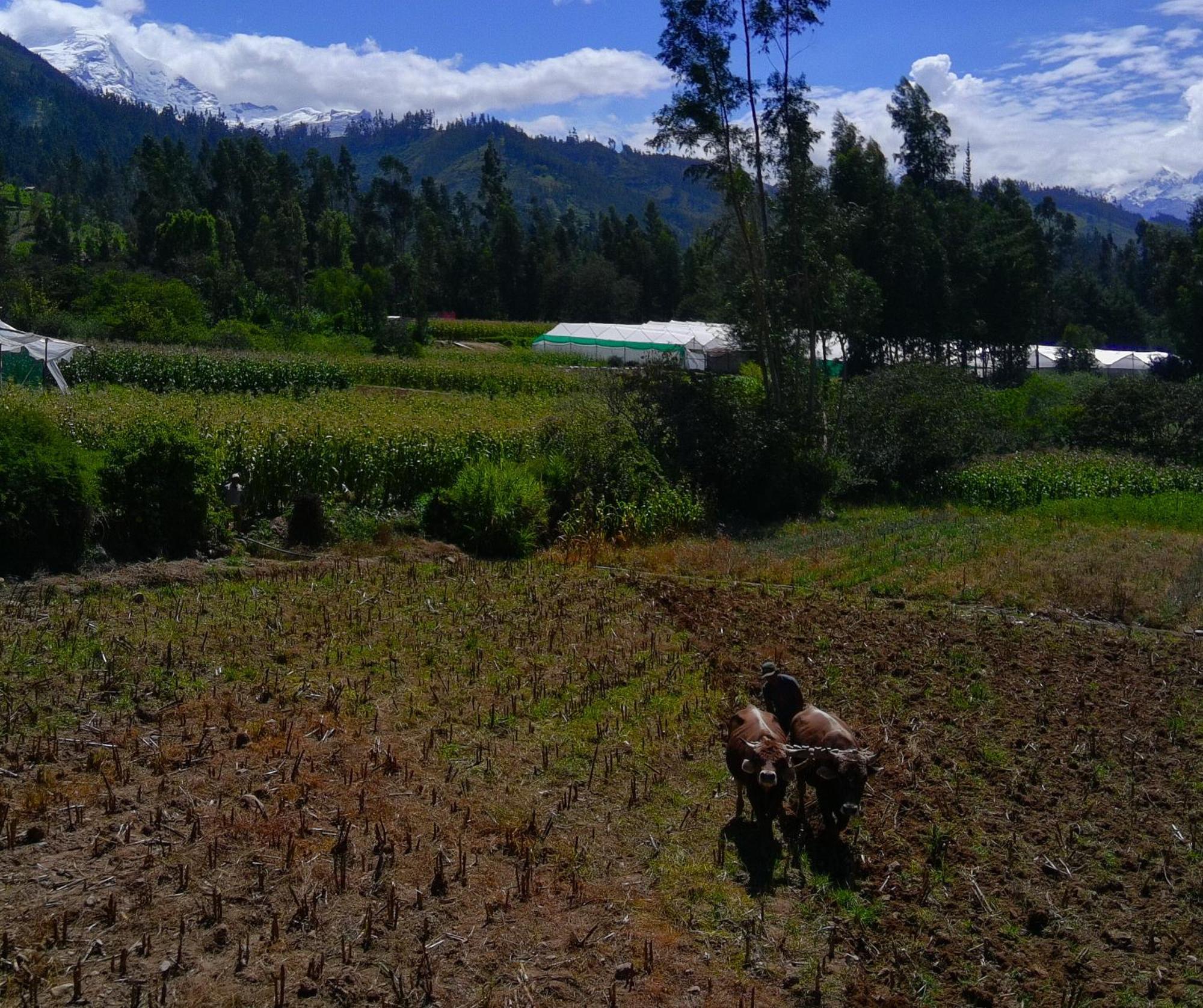 Runaway Eco Hotel Carhuaz Luaran gambar